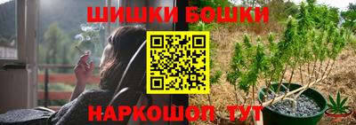 apvp Заводоуковск
