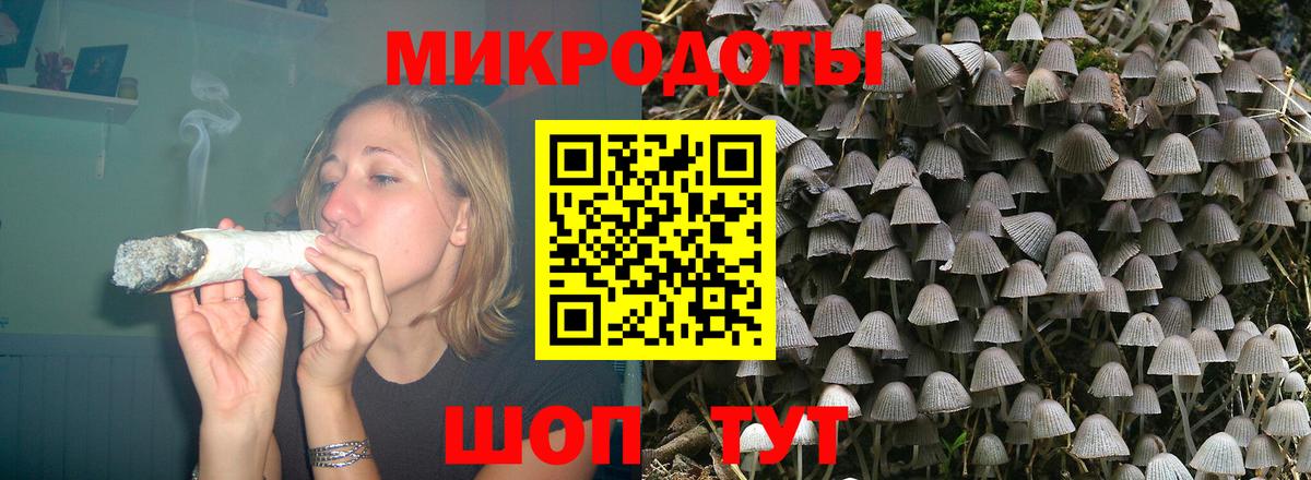Псилоцибиновые грибы прущие грибы  Вход с VPN  Вязники 