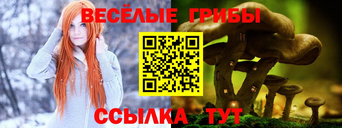 Псилоцибиновые грибы мицелий Вязники